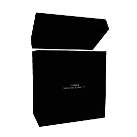 Big tote box