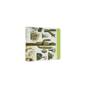 kissme cactus